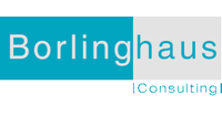 Borlinghaus Consulting